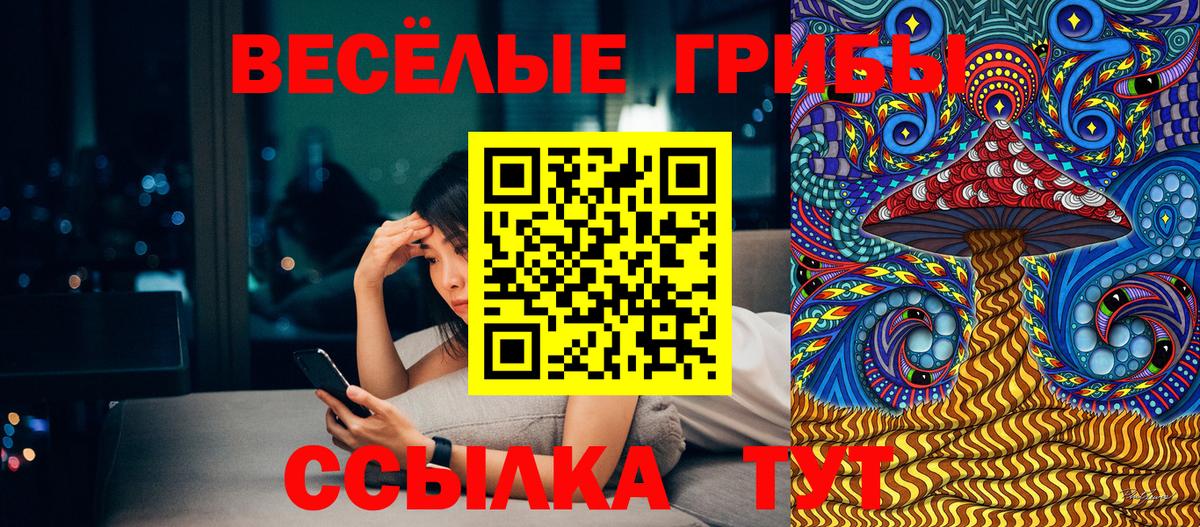 Кинель  Псилоцибиновые грибы Psilocybine cubensis  Вход с VPN 