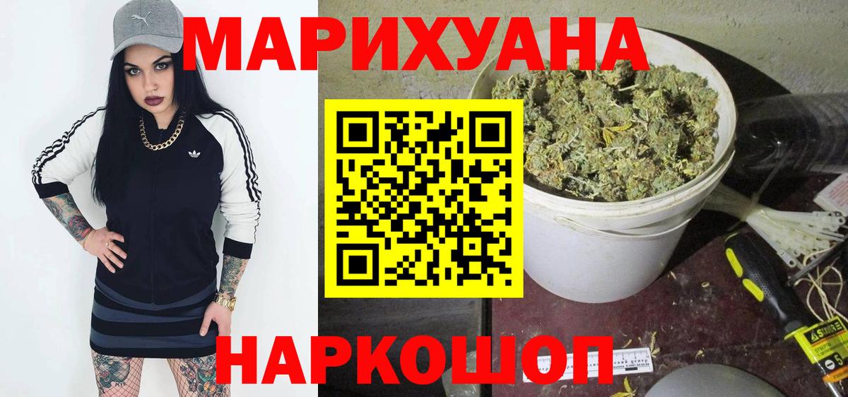 Конопля планчик Кинель